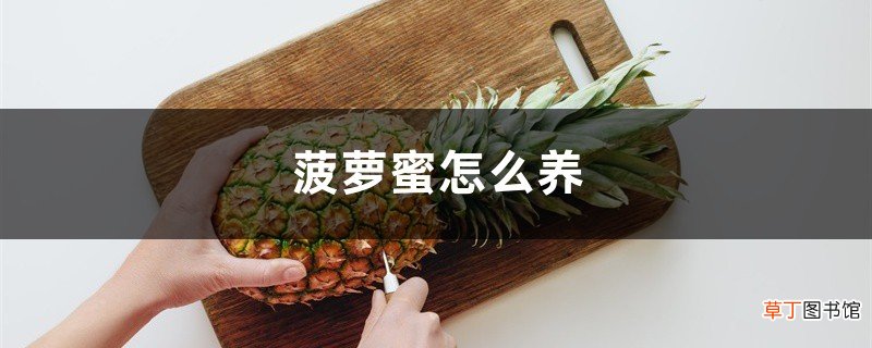 菠萝蜜怎么养