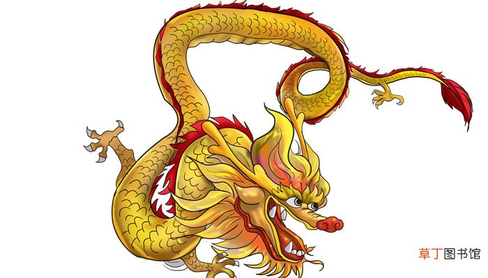 水稻代表什么生肖
