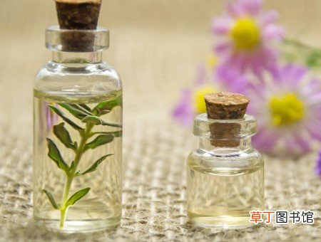 玫瑰纯露怎么用