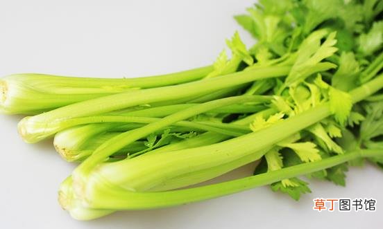 调理孩子肝火旺盛 清肝火的蔬菜孩子应多吃