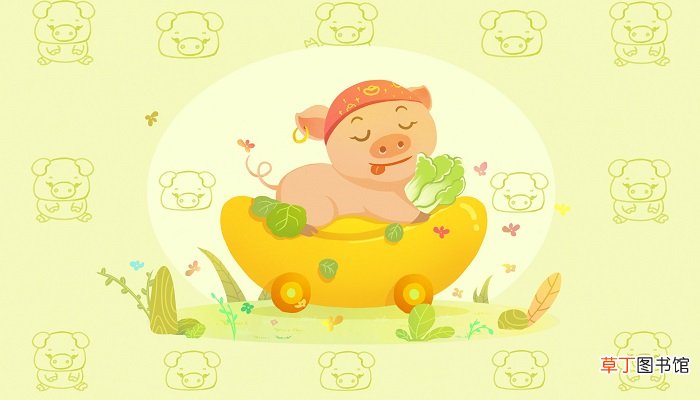 遥知兄弟登高处是什么生肖