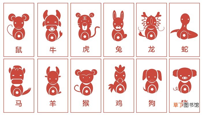遥知兄弟登高处是什么生肖