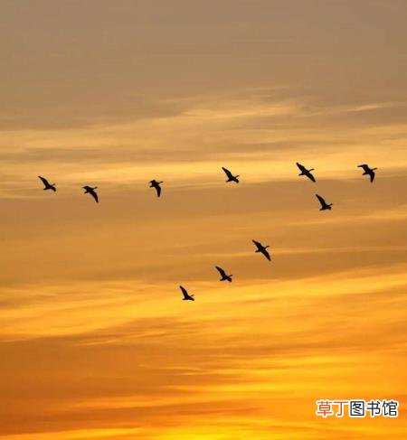 精卫填海的地方在哪里 为什么要填海