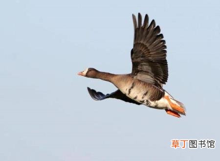 精卫填海的地方在哪里 为什么要填海