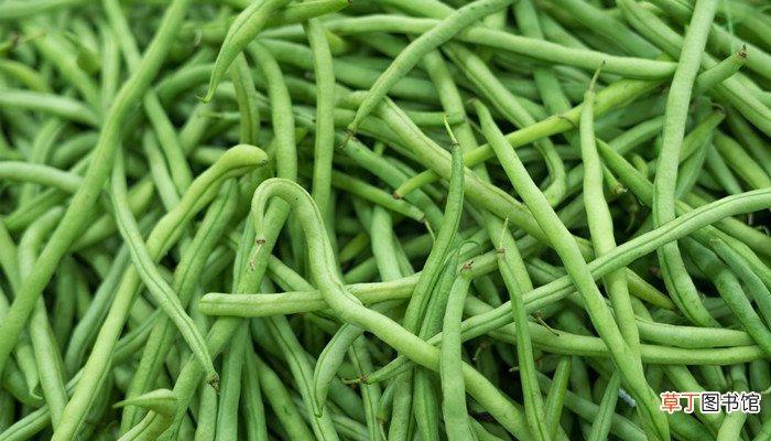 梦见偷别人地里的豆角