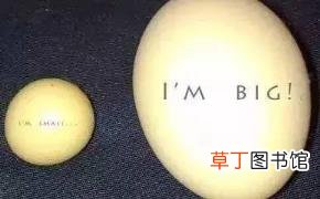 我的蛋蛋一个大一个太小 为什么睾丸一个大一个小