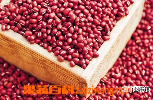 赤小豆的功效