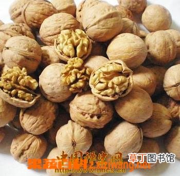 核桃的药用价值