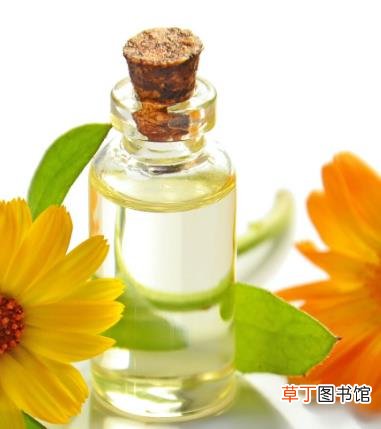 芦荟原液的功效与作用