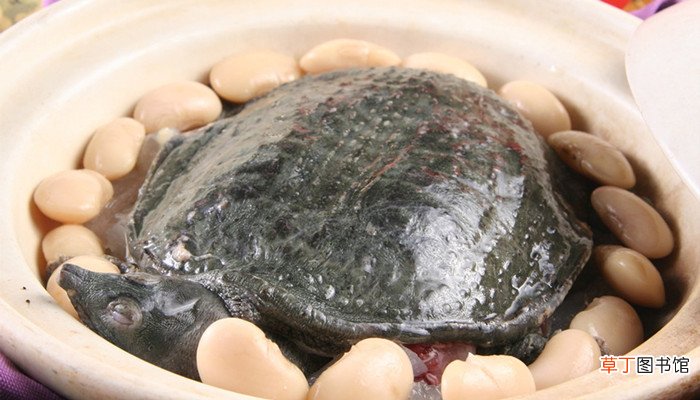 梦见甲鱼是什么意思