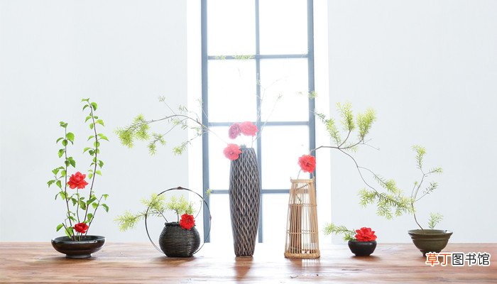 梦见插花是什么意思