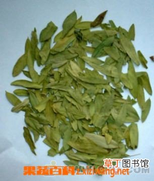 番泻叶的作用和功效