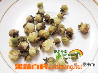 雪莲花的功效