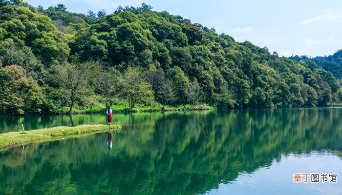 梦见青山绿水美景意味着什么