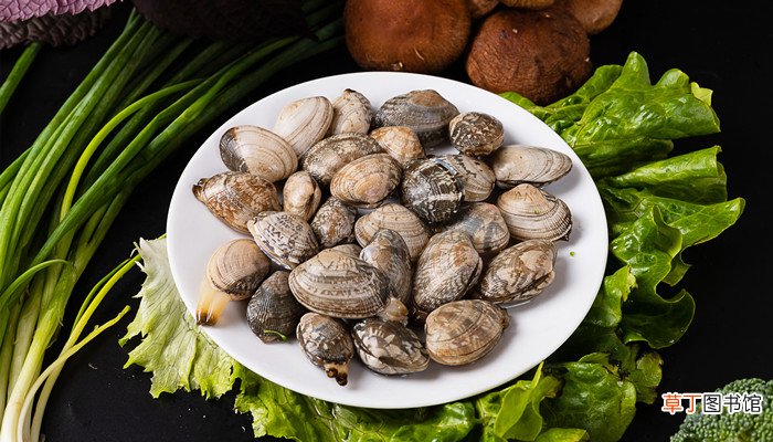 梦见捡了好多贝类海鲜