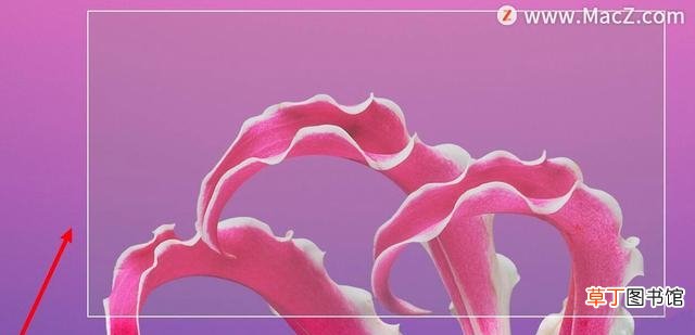如何更改截图保存位置 电脑截图保存在哪