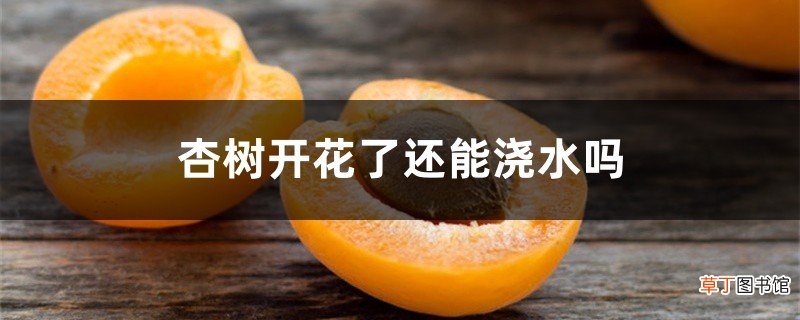 杏树开花了还能浇水吗
