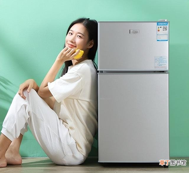 中国冰箱十大名牌是哪些中国十大冰箱品牌名单）