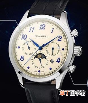 sg手表是什么牌子