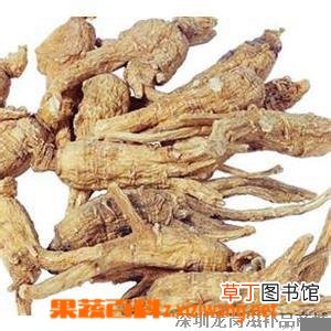 当归头的功效与作用
