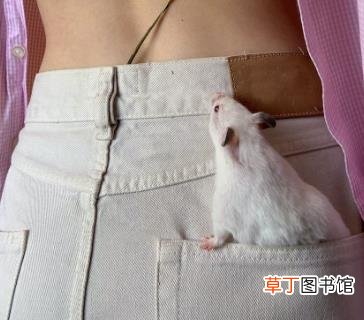 牛仔裤染上别的颜色怎么办