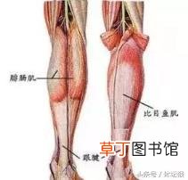亚洲蹲蹲不下去 为什么蹲不下去