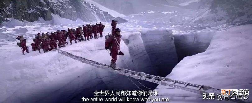 战狼二和中国机长哪个票房高 战狼票房为什么高