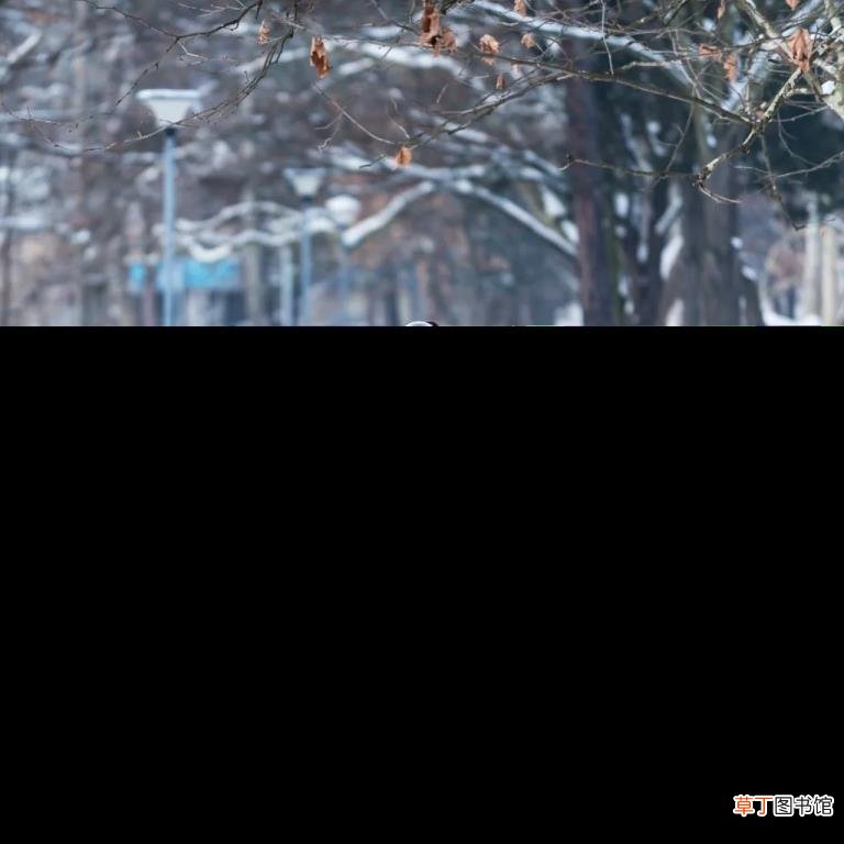 怕冷要吃什么才不怕冷 为什么感觉很冷