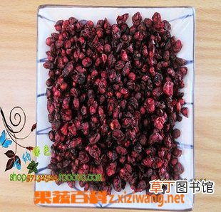 五味子泡酒的功效