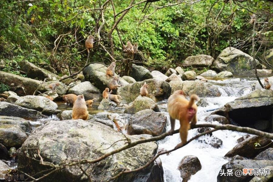 广西旅游攻略自驾游 为什么自驾游