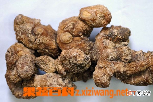 黄精的功效和作用