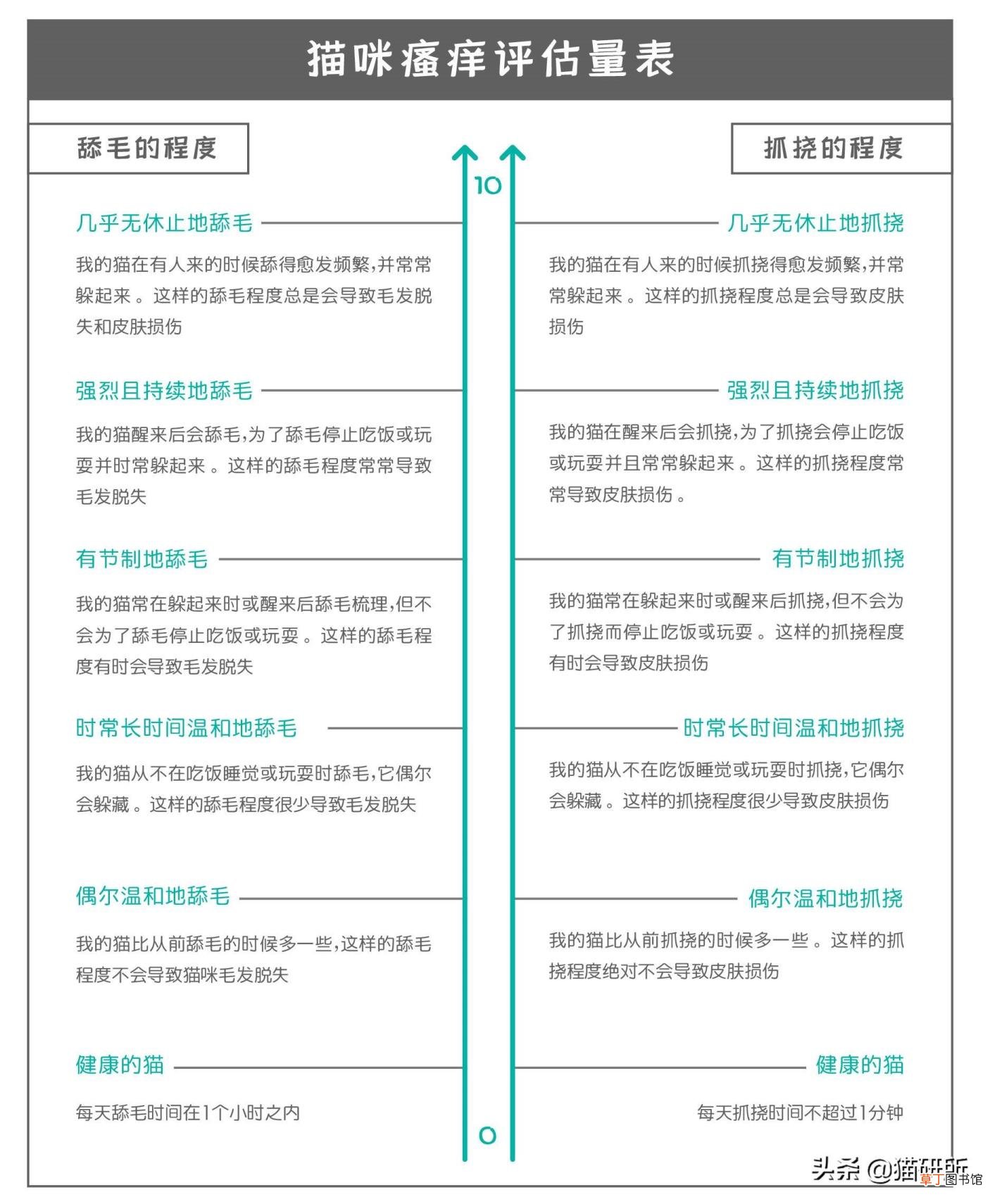 为什么猫咪喜欢抓挠 为什么猫喜欢被挠