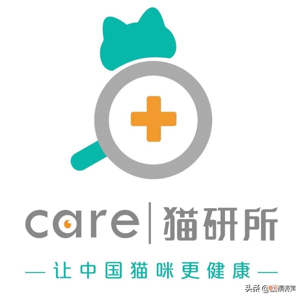 为什么猫咪喜欢抓挠 为什么猫喜欢被挠