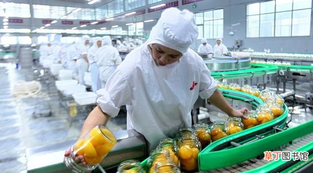 果品罐头生产进入旺季 水果罐头加工厂