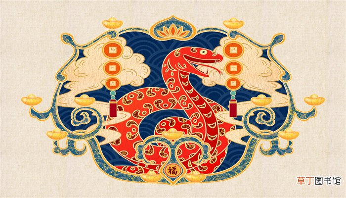 一身柔滑指什么生肖