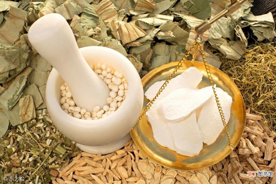 每天昏昏沉沉没有精神 为什么会全身无力