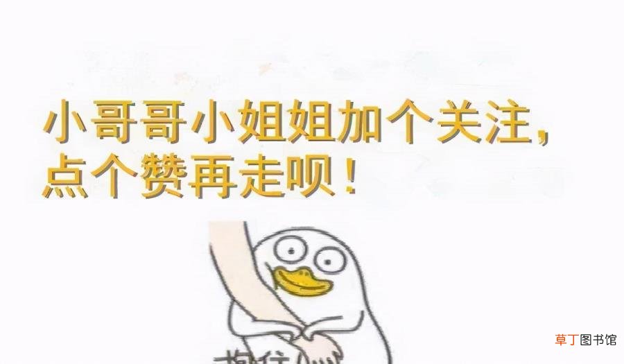 幼猫是不是都很粘人 为什么小猫粘人