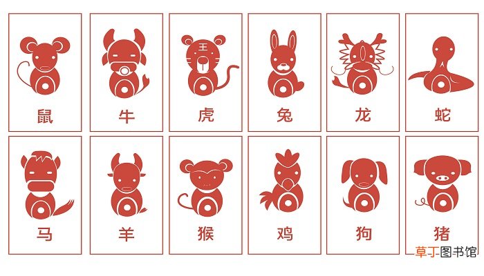 妈祖代表什么生肖