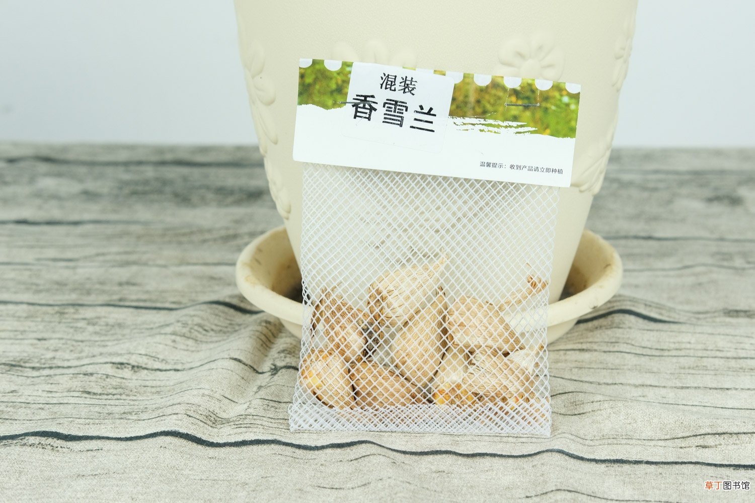 香雪兰开花后怎么养护