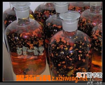 肉苁蓉泡酒的功效