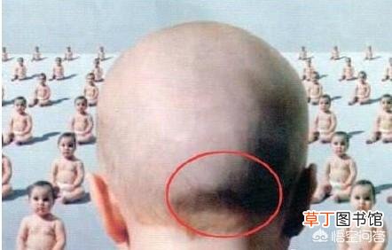 男人有反骨意味着什么 反骨是什么意思