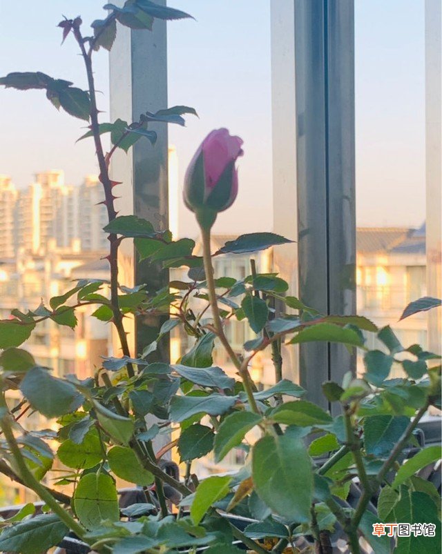 一个入殓师需要做什么 入殓师是什么职业