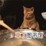 干红葡萄酒苦味怎么回事 干红为什么苦