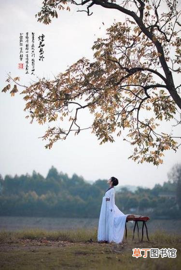 周杰伦最好听的10首歌 烟花易冷为什么被禁