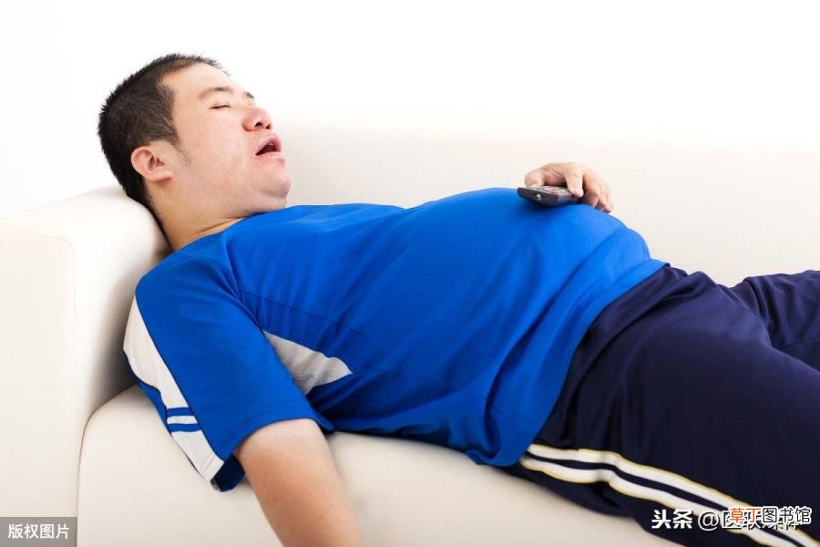 小肚子上突然长了很多肉 为什么肚子会长肉