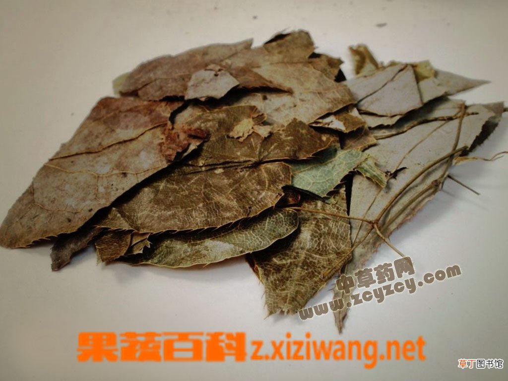 龟板胶的功效与作用