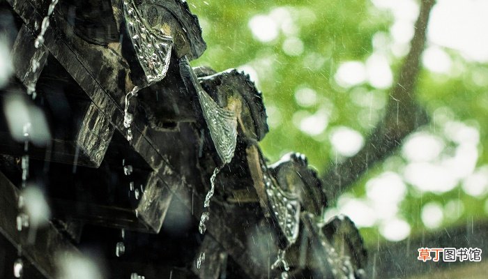 女人梦见下大雨是什么预兆