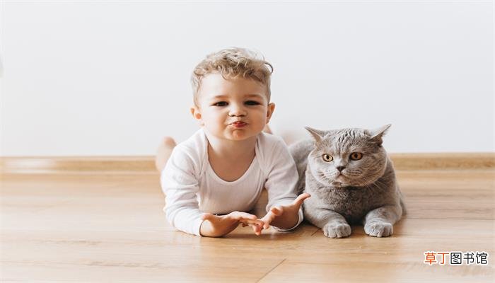 梦见被猫抓伤是什么预兆