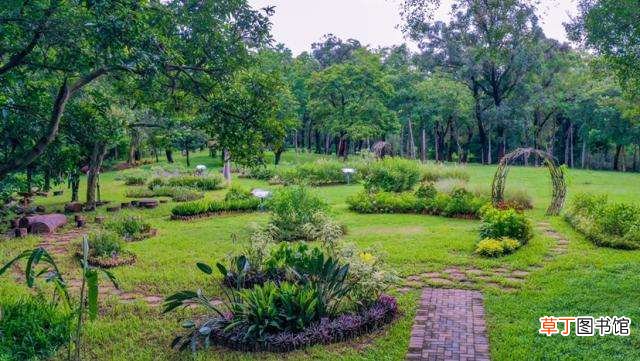 笔架山公园趣味植物迷你花园,90余种趣味植物等你来