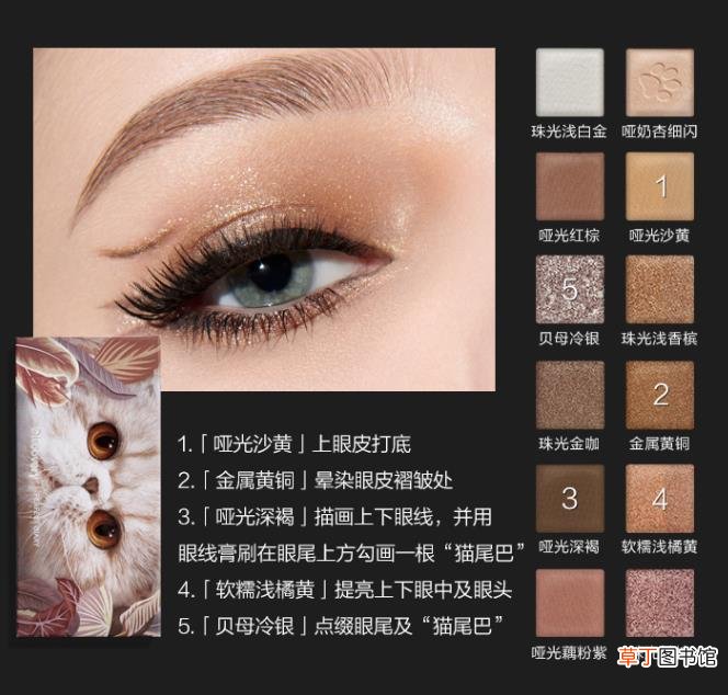 眼影怎么用
